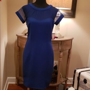 Royal Blue Dress